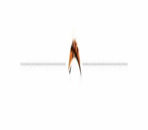 篮球盛宴将,铁杆粉丝热,切期盼波尔,博鱼体育官网,博鱼体育app,博鱼体育APP下载